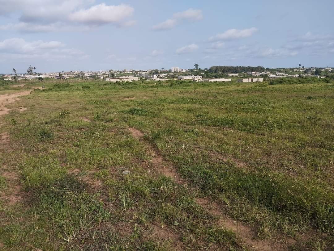 Conseil et Expertise